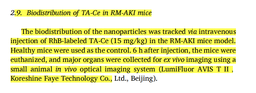 科辰星飞活体成像系统助力揭示单宁酸-铈纳米酶在急性肾损伤治疗中的新机制