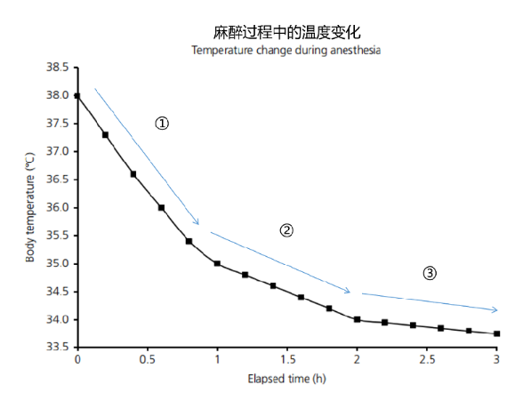 活体成像实验动物麻醉与温控标准化操作指南
