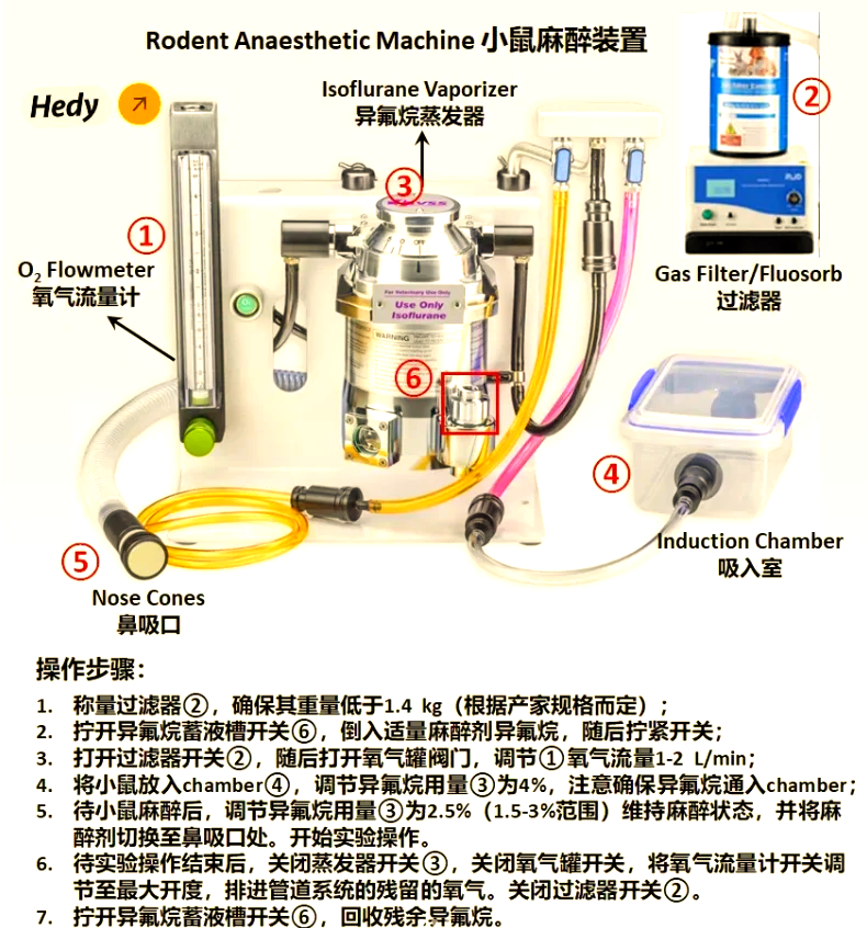 活体成像实验动物麻醉与温控标准化操作指南
