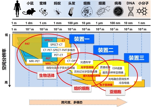 活体成像技术驱动基因治疗疗效评估的跨尺度可视化方案