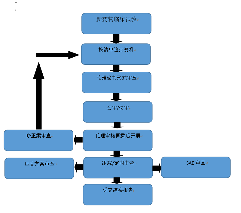 活体成像技术伦理审查的核心要点与国际标准对标
