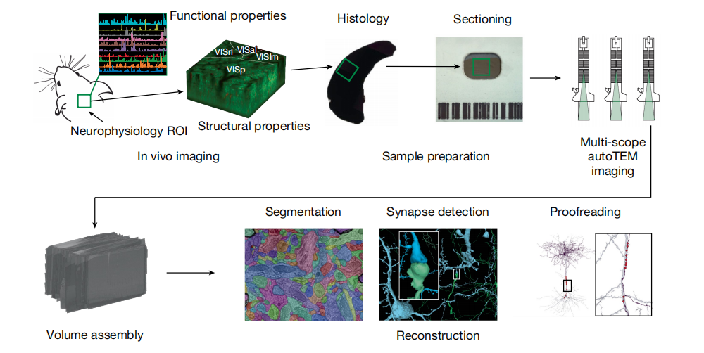 功能连接组学研究的关键技术流程图