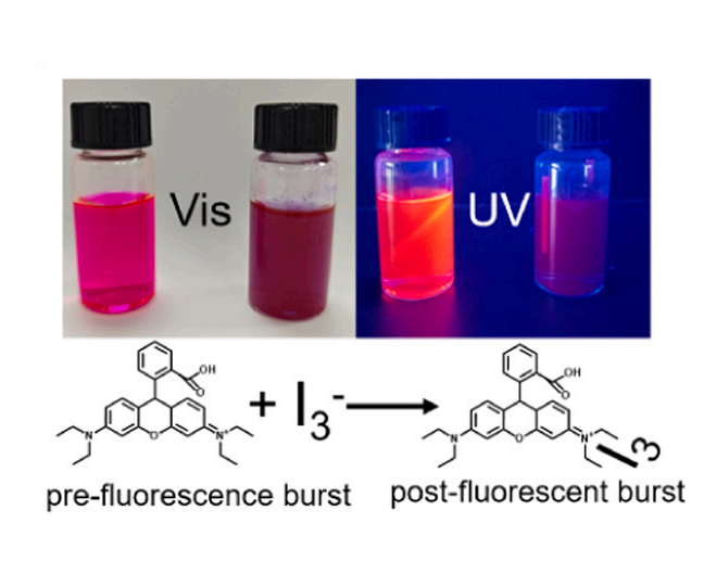 使用荧光成像系统观测到的H2O2诱导的罗丹明B荧光猝灭效应