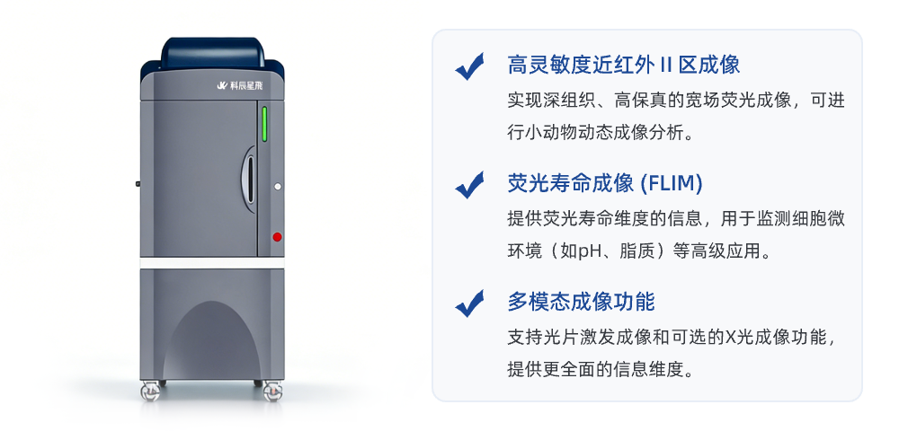 NIR-II AVIS 系统介绍:专为近红外二区设计,穿透更深生物组织的前沿系统