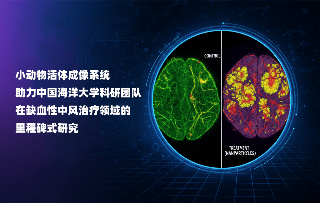 重磅成果 | 科辰星飞小动物活体成像系统助力中国海洋大学科研团队中风治疗研究