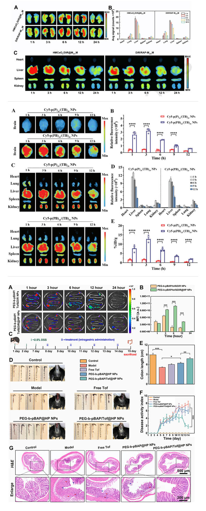 科辰星飞设备拍摄的小鼠肠道与脏器生物分布荧光成像实验数据