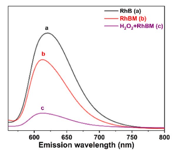 科辰星飞LumiFluor系统捕获的罗丹明B荧光光谱变化图