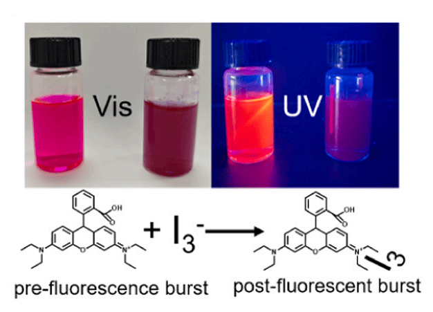 实验中罗丹明B溶液在反应前后的颜色与荧光变化