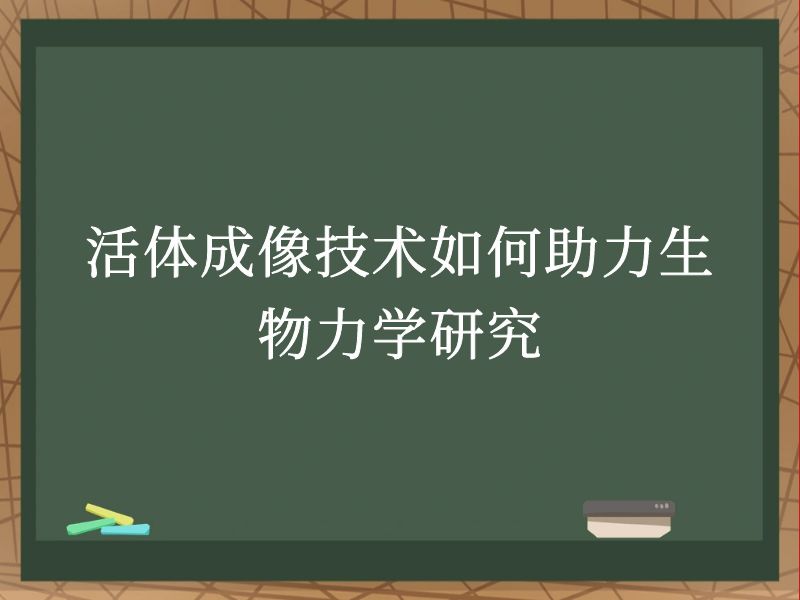 活体成像技术如何助力生物力学研究